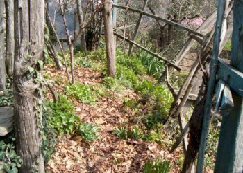 Rustico Via De zerega, Cicagna - foto 24