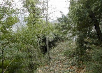 Rustico Via De zerega, Cicagna - foto 25