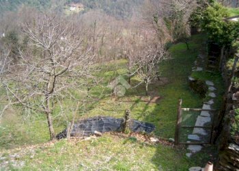 Rustico Via De zerega, Cicagna - foto 26