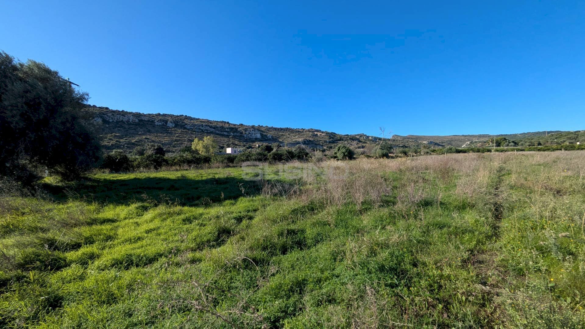 Foto 3 - Agricultural land MONASTERI
SNC, Siracusa - photo 3