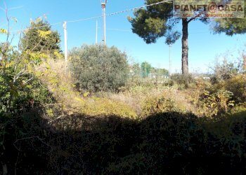 Foto 27 - Casa indipendente Via Marconi, Spinetoli - foto 27