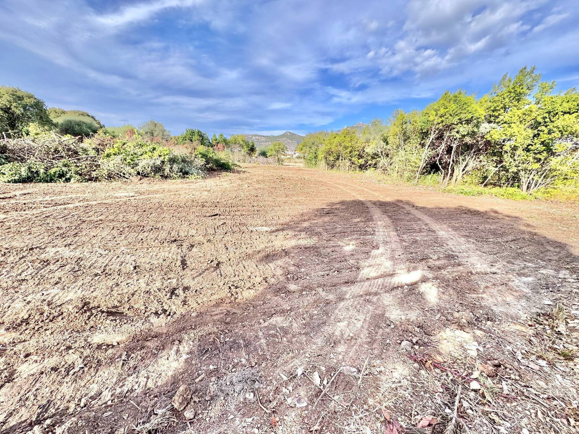 Foto 2 - Terreno agricolo vicolo parisi, Palermo - foto 2