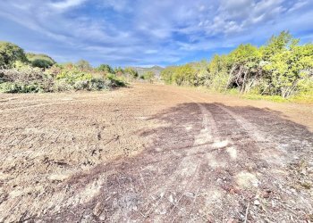 Foto 2 - Terreno agricolo vicolo parisi, Palermo - foto 2