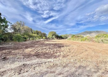 Foto 4 - Terreno agricolo vicolo parisi, Palermo - foto 4