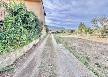 Foto 5 - Terreno agricolo vicolo parisi, Palermo - foto 5