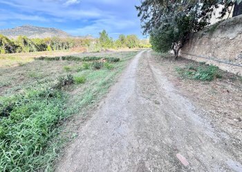 Foto 7 - Terreno agricolo vicolo parisi, Palermo - foto 7