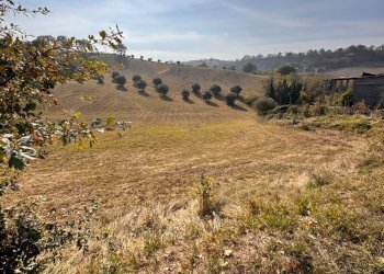 Foto 9 - Independent house Contrada Fegatara
 
6, Montegiorgio - photo 9