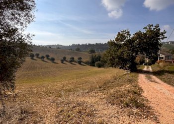 Foto 11 - Independent house Contrada Fegatara
 
6, Montegiorgio - photo 11