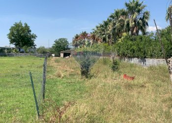 Giardino - Terreno agricolo via San Marco
 
127, Calatabiano - foto 5