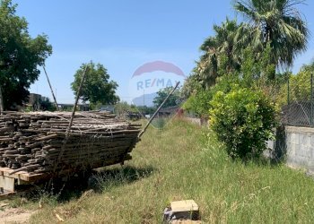 Giardino - Terreno agricolo via San Marco
 
127, Calatabiano - foto 6