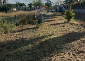 Giardino - Terreno agricolo via San Marco
 
127, Calatabiano - foto 8