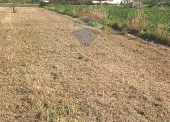 Vista delle montagne - Terreno agricolo via San Marco
 
127, Calatabiano - foto 9