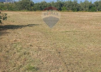 Giardino - Terreno agricolo via San Marco
 
127, Calatabiano - foto 10