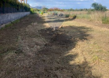 Giardino - Terreno agricolo via San Marco
 
127, Calatabiano - foto 11