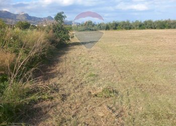 Giardino - Terreno agricolo via San Marco
 
127, Calatabiano - foto 12