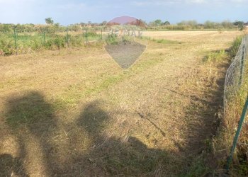 Giardino - Terreno agricolo via San Marco
 
127, Calatabiano - foto 13