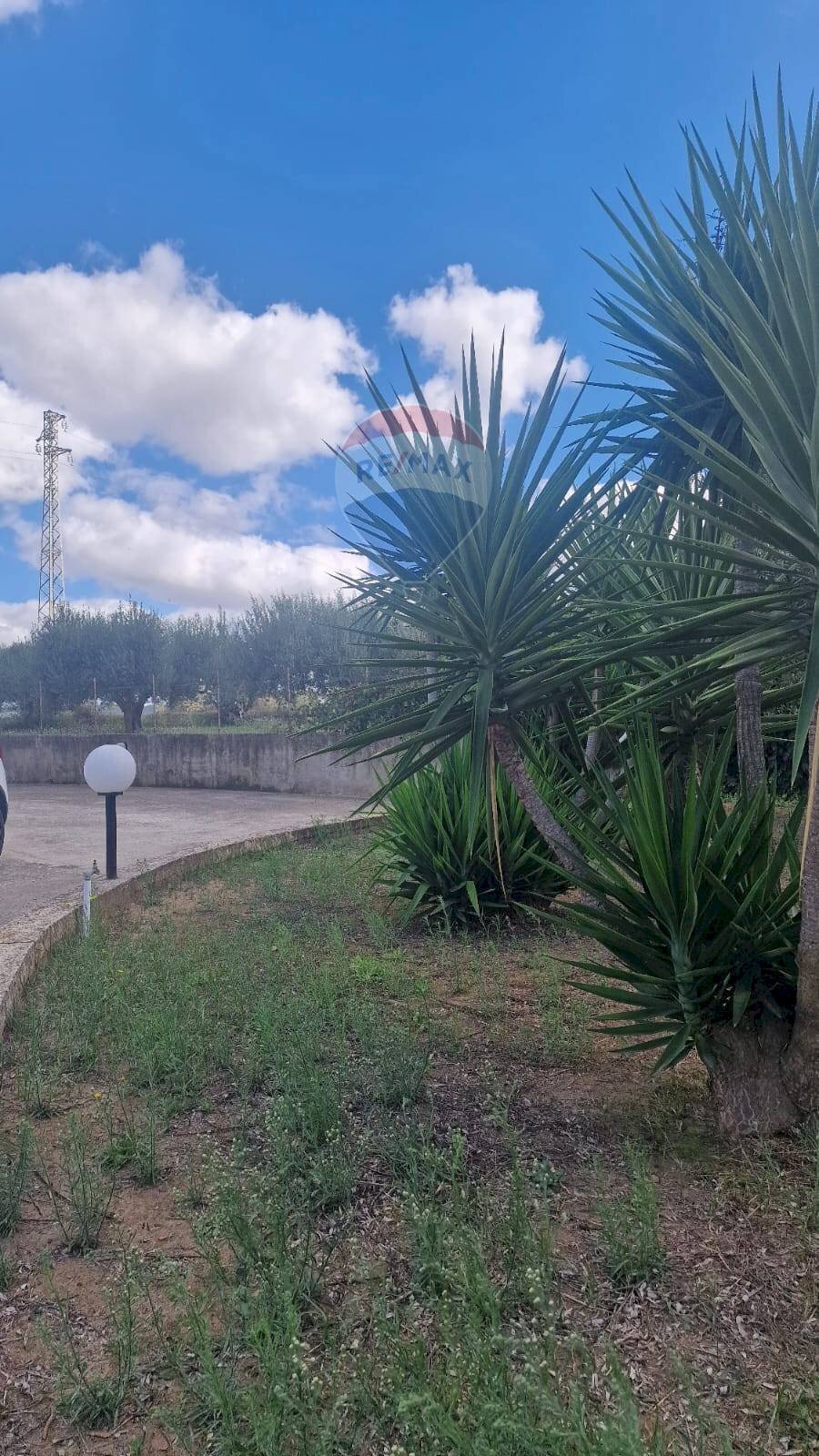 Giardino - Villa Contrada San Michele
 
snc, San Michele di Ganzaria - foto 3