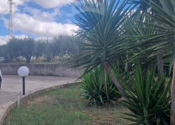 Giardino - Villa Contrada San Michele
 
snc, San Michele di Ganzaria - foto 3