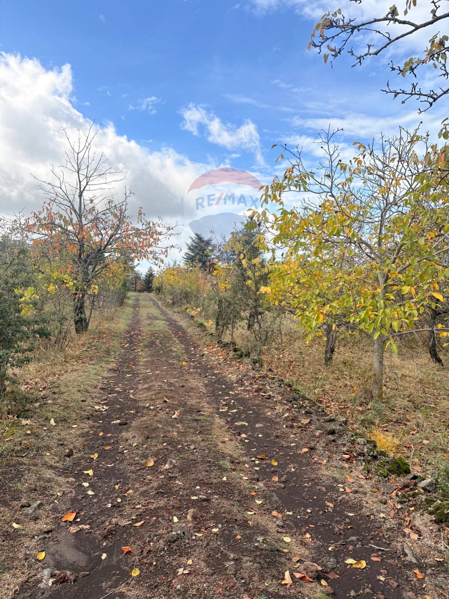 Giardino - Rustico Contrada San Leo
 
snc, Belpasso - foto 1
