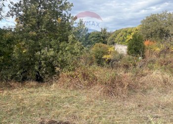 Giardino - Rustico Contrada San Leo
 
snc, Belpasso - foto 4