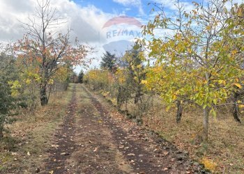 Giardino - Rustico Contrada San Leo
 
snc, Belpasso - foto 1