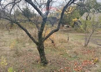 Giardino - Rustico Contrada San Leo
 
snc, Belpasso - foto 8