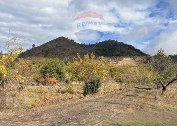 Vista delle montagne - Rustico Contrada San Leo
 
snc, Belpasso - foto 11
