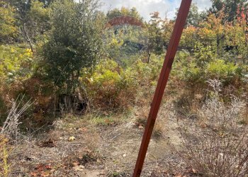 Giardino - Rustico Contrada San Leo
 
snc, Belpasso - foto 13