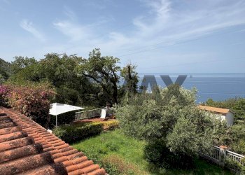 Giardino - Villa Via Marina Santa Teresa
 
28, Maratea - photo 66