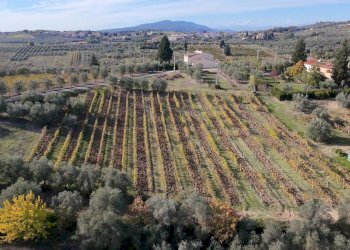 Townhouse Montelupo Fiorentino - photo 4