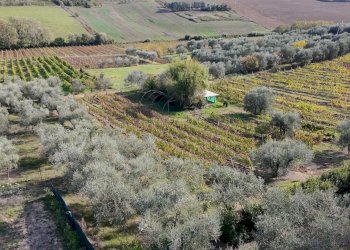 Townhouse Montelupo Fiorentino - photo 6