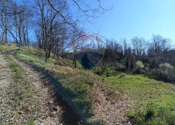 Giardino - Semi-detached house Altare - photo 23