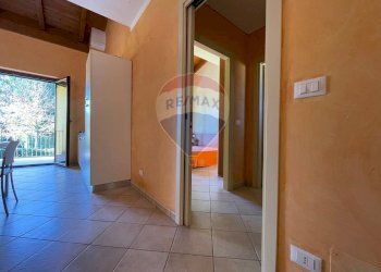 Hall / corridoio - Trilocale Tortoreto - foto 11