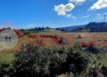 Foto 10 - Quadrilocale Via San Filippo Neri
 
88, Vico del Gargano - foto 10