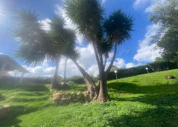 Foto 31 - Independent house Pula - photo 31