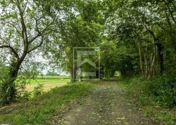 Foto 19 - Rustico strada cervo, Cavriana - foto 19