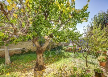 GIARDINO CONDOMINIALE - Trilocale Via Budapest
 
7, Ladispoli - foto 19