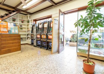 Foto 8 - Commercial Activity via Principessa Maria
 
50, Sassari - photo 8