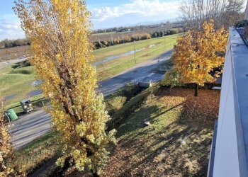 Vista - Quadrilocale via Carlo Goldoni, 1, Castel Maggiore - foto 7