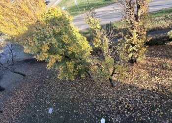 Vista - Quadrilocale via Carlo Goldoni, 1, Castel Maggiore - foto 7