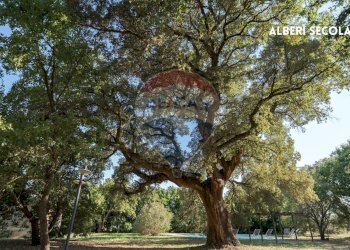 Giardino - Casa indipendente STRADA PROVINCIALE MONTEMASSI
 
SNC, Roccastrada - foto 25