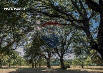 Giardino - Casa indipendente STRADA PROVINCIALE MONTEMASSI
 
SNC, Roccastrada - foto 27