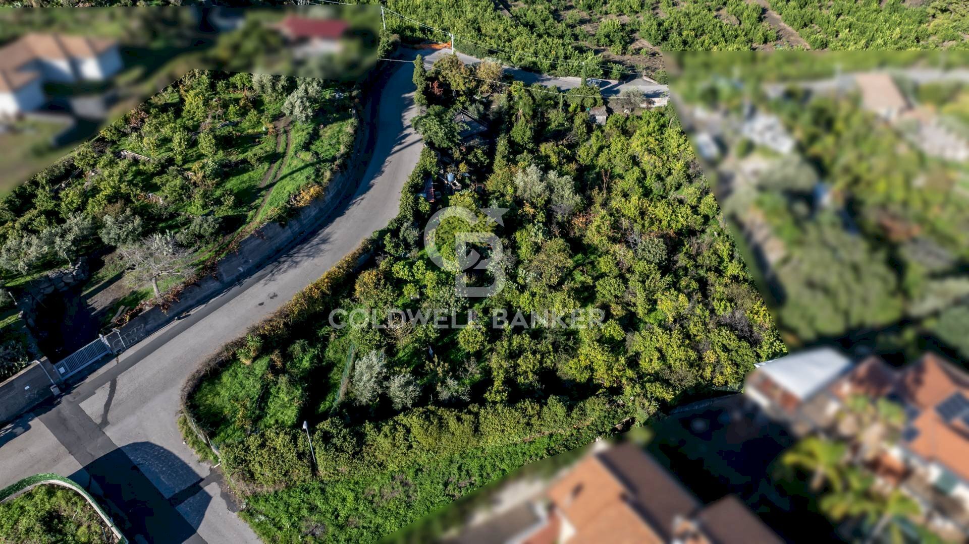 Foto 3 - Terreno agricolo via Finocchiaro
 
sn, Acireale - foto 3