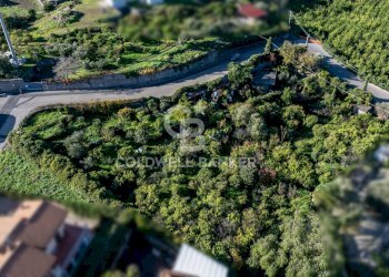 Foto 4 - Terreno agricolo via Finocchiaro
 
sn, Acireale - foto 4