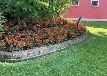 Foto 5 - Villa Volta Mantovana - foto 5