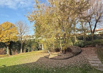 Foto 7 - Villa Volta Mantovana - foto 7