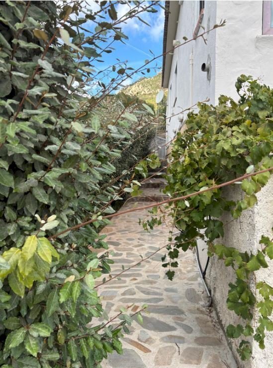 ca1.JPG - Villa Olbia - photo 3