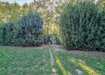 Casaletto Semproniano-15.jpg - Casale Località Scovaventi 1, Semproniano - foto 4