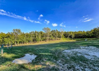 Casaletto Semproniano-23.jpg - Casale Località Scovaventi 1, Semproniano - foto 20