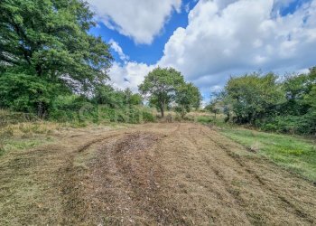 Terratetto Cellena-02.jpg - Casa indipendente Via Monte Rosa 1, Semproniano - foto 3